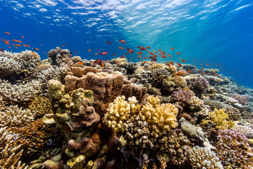 FISHING & SNORKELING TRIP
