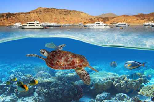 Hurghada